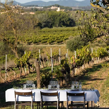 Mas Grimosach - Masia En Y Bodega Ecologica - Adults Only Sant Pau d'Ordal